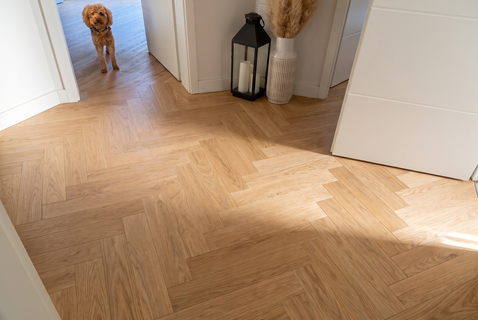 Eiche Sandstone Deluxe in einem Flur — mit KI erzeugte Ansicht